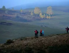 英雄联盟竞猜_末节打出高潮，胜利逐渐明朗的简单介绍